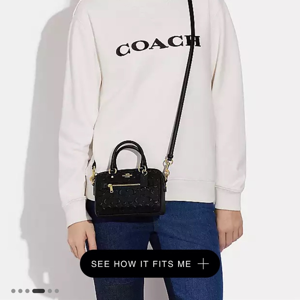 Coach mini rowan crossbody in signature